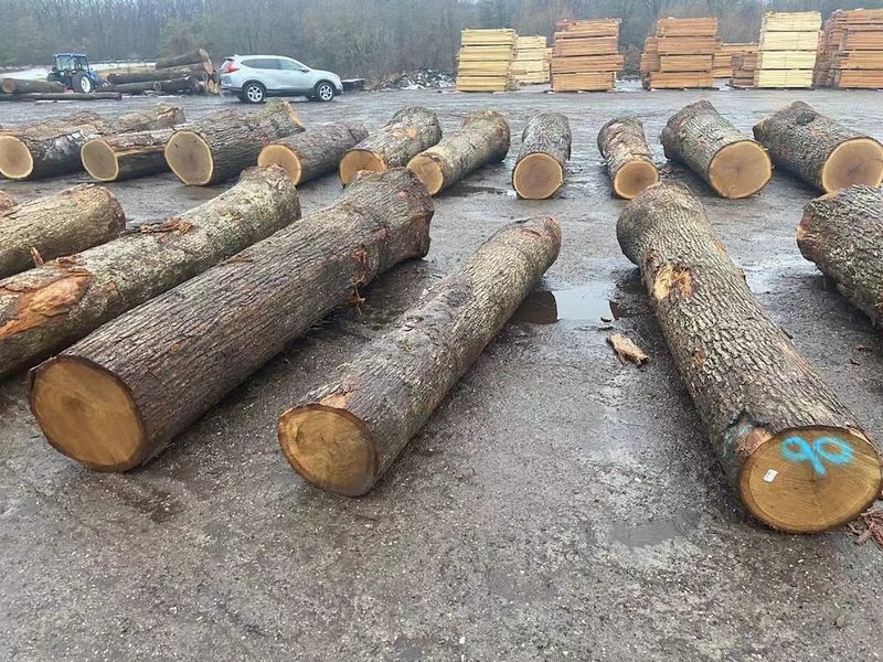 Cina Dongguan Yinghui Wood Industry Co., Ltd. Profil Perusahaan